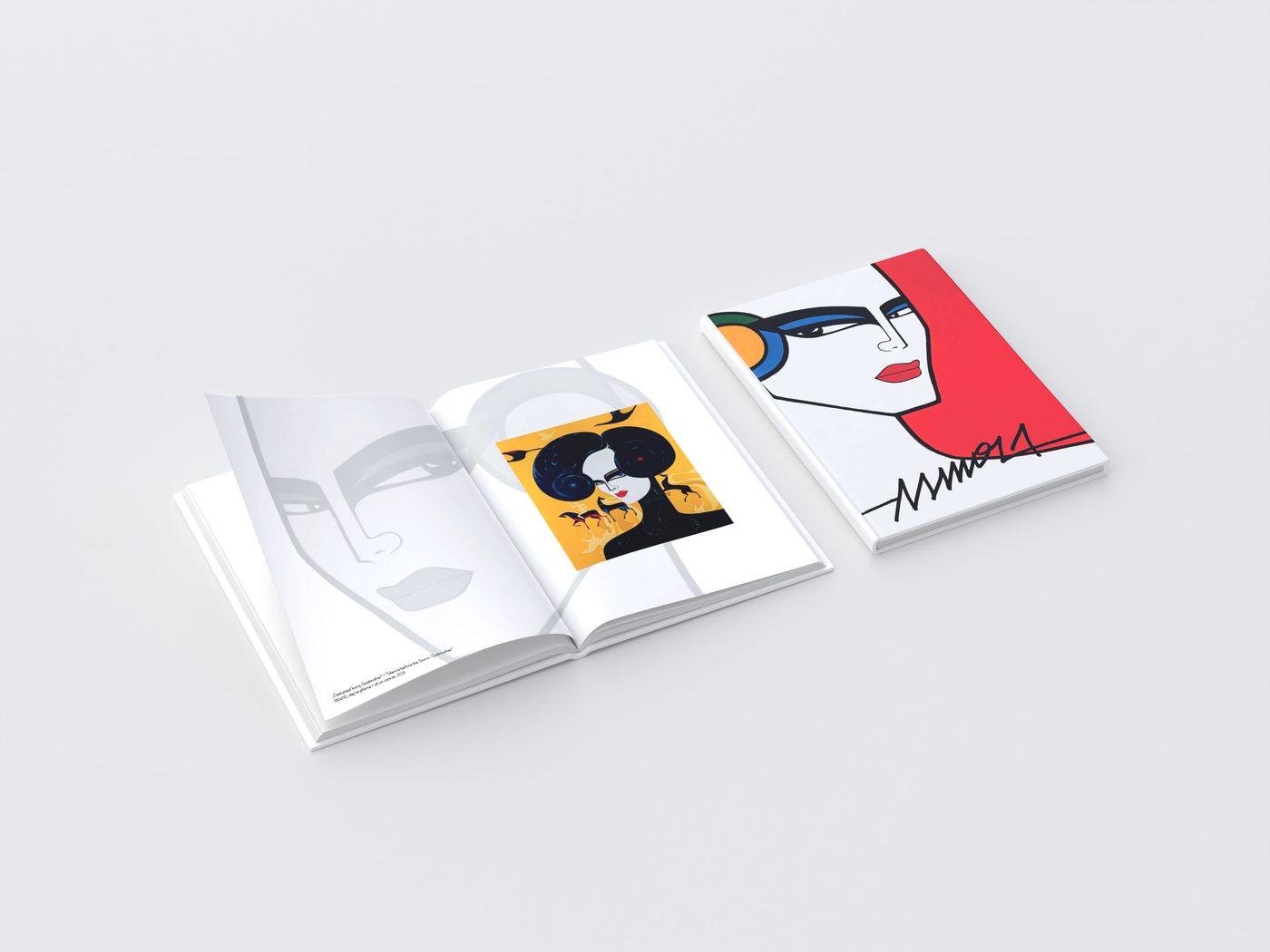 Album autorski, wydawnictwo premium z ilustracjami