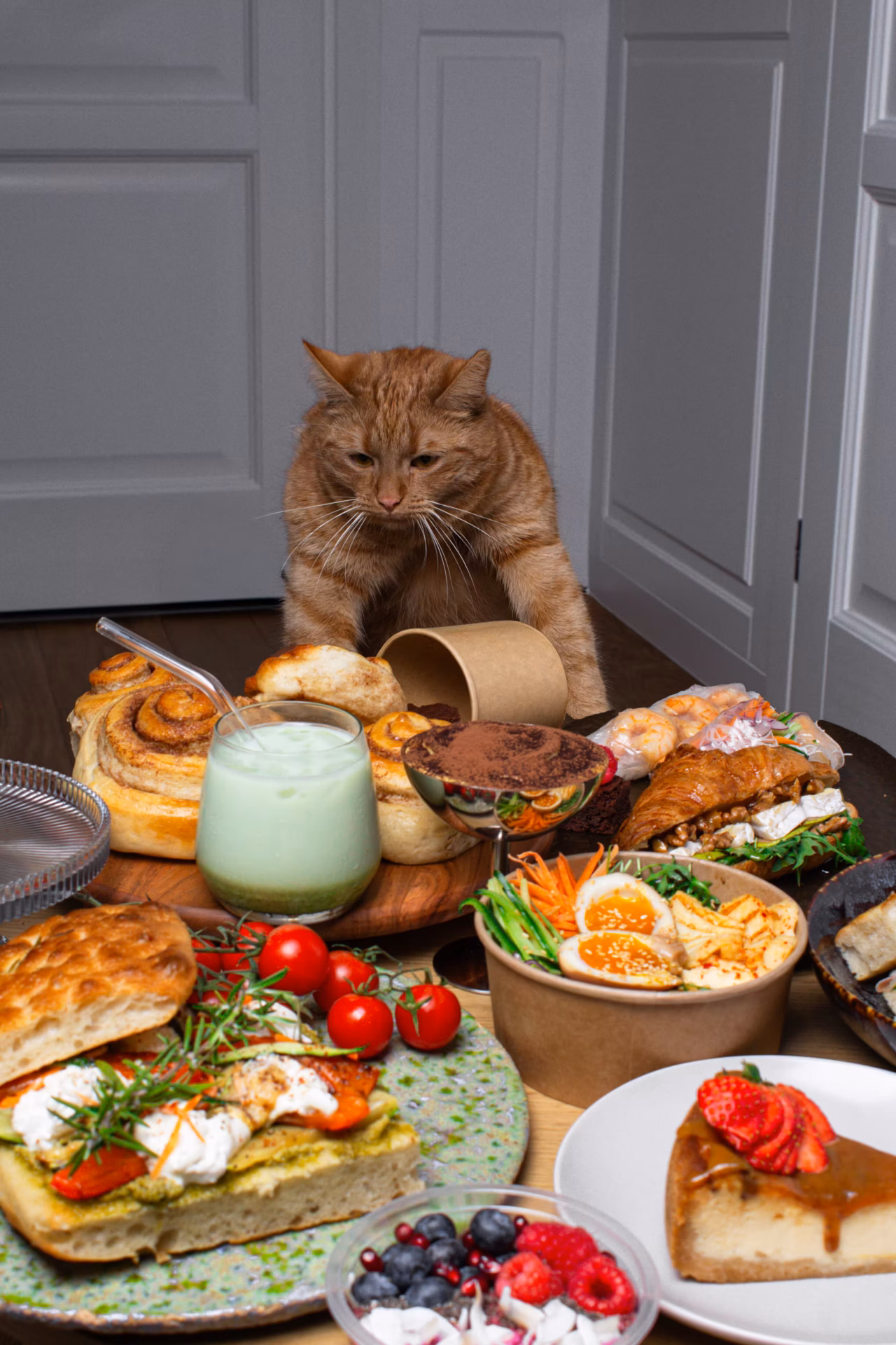 Kreatywna sesja wizerunkowa dla gastronomii w Tarnowie Rudy kot i wypieki z Siga Concept - kreatywna fotografia reklamowa Tarnów