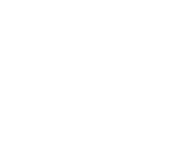 Auto Spektrum